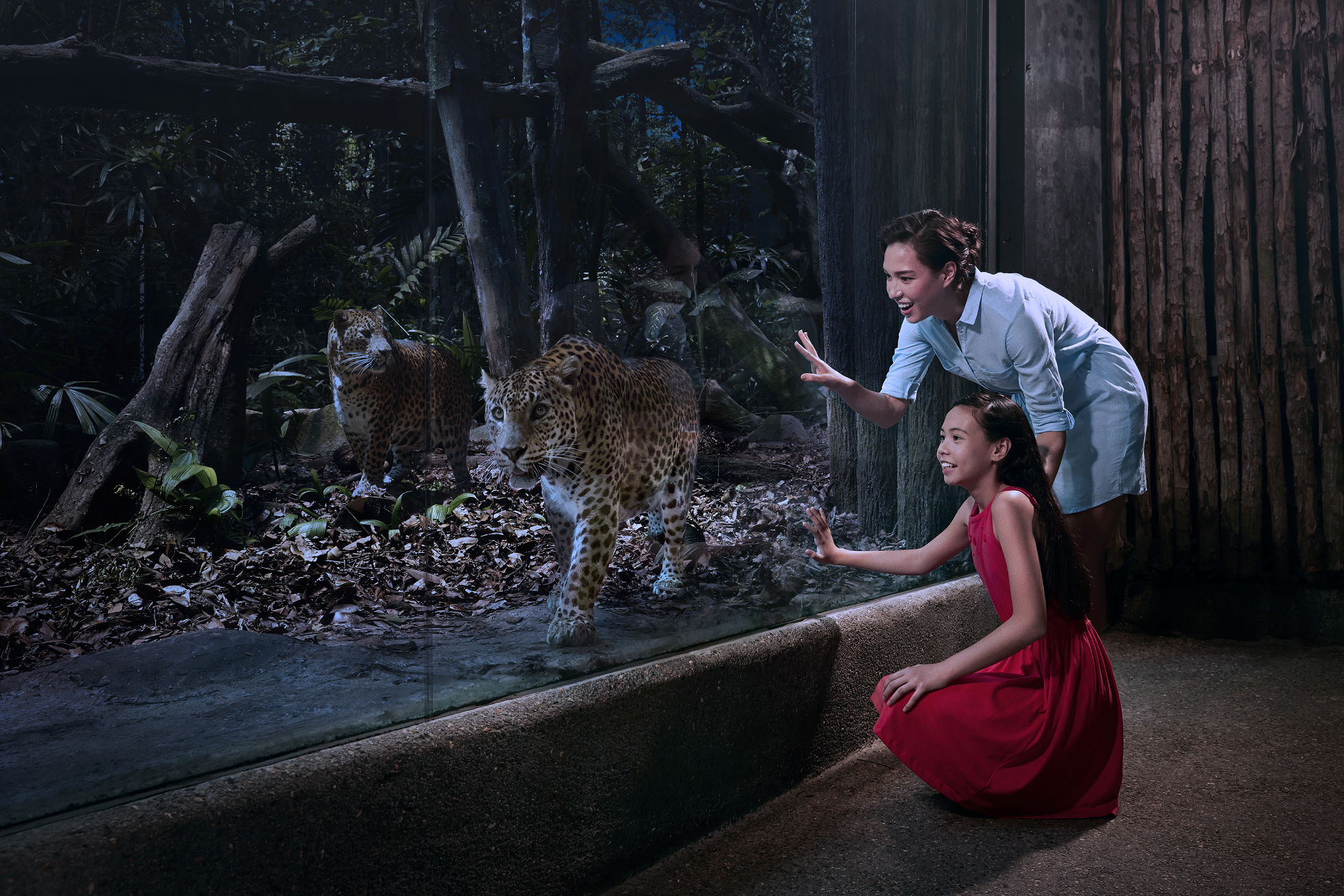 1. 歩いてまわる4つのアニマルトレイル